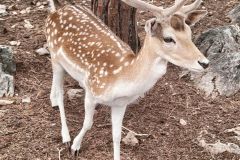 347408532_810259907490944_6047272706380681258_n