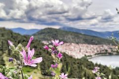 347443962_810258334157768_1875990810653782857_n