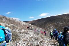 166490677_10157725376171441_7977346041771812795_n