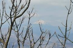 166494563_10157725367906441_489647528799523643_n