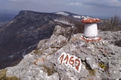 166555486_10157725376481441_7232947826984067568_n