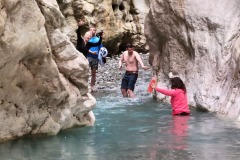 344821046_757953482444657_3376054764392088973_n