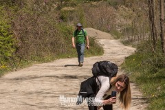 344852123_988949392480318_2014207940946860308_n