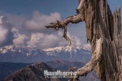 344973544_9161913053881791_2590777586018141217_n