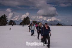 345021453_2201631626691594_1976943410311386817_n