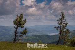 217332475_10157964047691441_840193717215849917_n