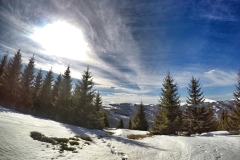 149090480_10157621204981441_8601864395540878354_n