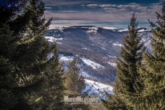 149183560_10157621205171441_138012769280414935_n