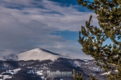 149341754_10157621204501441_2938997528145780239_n