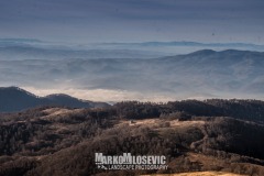 323106994_753106676394746_135153000877734705_n