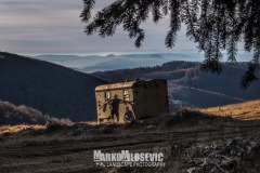 323342202_519266036968807_275502676383235661_n