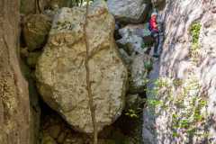 280098768_10158468879291441_176097360781706077_n