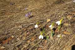 277565922_10158409858881441_19355658072825569_n