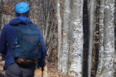 649415984_1570984628085131_6649924200715366629_n