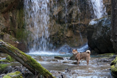 649596053_1570985741418353_6384912417334000826_n