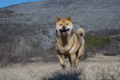 649697971_1570984408085153_7022324786060256278_n