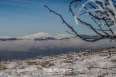 153521749_10157647278476441_5859440464893572155_n