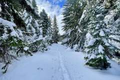 Visitor (Glava 2015mnv, Krivi smet 2211mnv, Smetni vrh 2198mnv, Maja e Ljugu Bors 2166mnv i Vrh Somina 2138mnv) i Čakor (Ravno brdo 2040mnv)