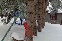 151181604_10157631468176441_6158018467486981372_n