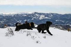 Vlaška planina (Panica 1442mnv i Vrtibog 1443mnv)