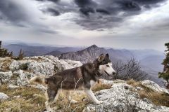 337432208_155000967155194_7657814613682704749_n