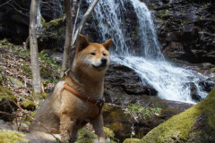 674248831_1606113901238870_2760707509720859545_n