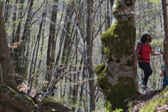 675790545_1606113651238895_1579041670362516388_n