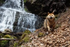 675814449_1606113027905624_6577947094343399907_n