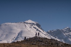 337029910_1256117945315602_3873696025638314188_n