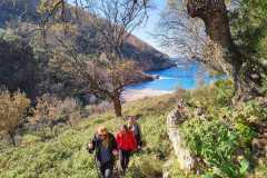 337113087_131397213220387_1969159313887824754_n