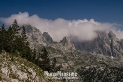 295533065_545187620664842_6153847219316320477_n