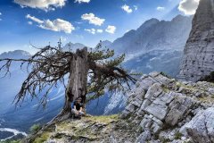 295569331_545187717331499_4842424702097586680_n