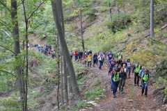 310704775_598154882034782_2175774314292273698_n