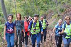 310723223_598154852034785_803740010780456447_n