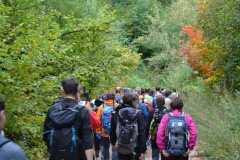 310791294_598154898701447_206738907900448392_n