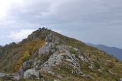 310922592_598155072034763_1270311705718973175_n