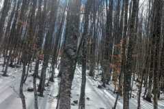 428607630_964752295375037_1262090750984877745_n